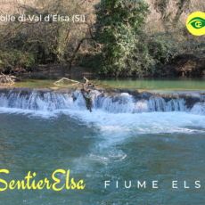 Sentierelsa: Un Incantevole Percorso Lungo il Fiume Elsa a Colle di Val d’Elsa