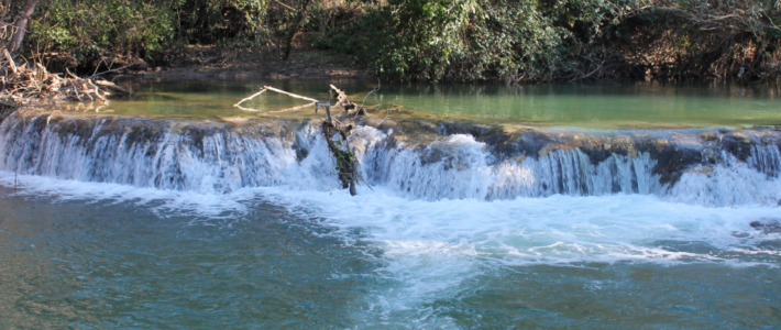 Sentierelsa: Un Incantevole Percorso Lungo il Fiume Elsa a Colle di Val d’Elsa